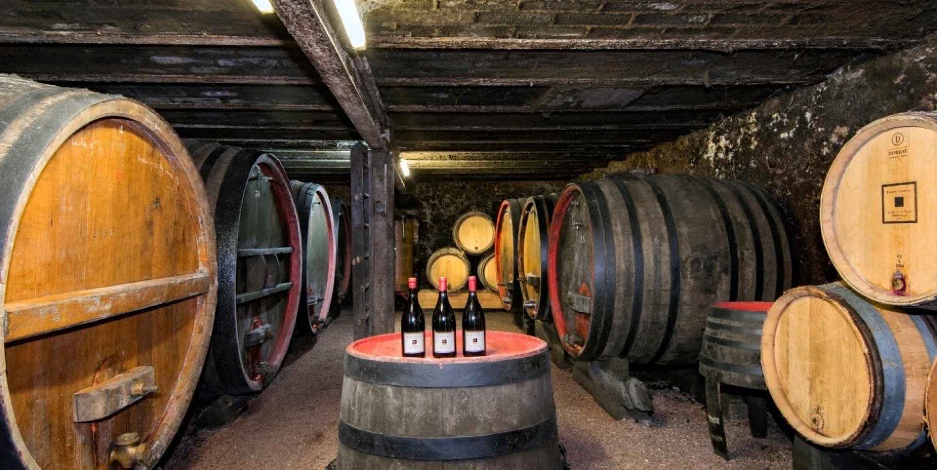 Domaine Robert Perroud - Artisan vigneron - Côte Beaujolaise